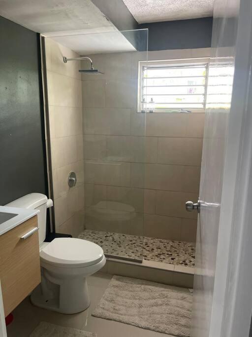 New Kingston Retreat Apartman Kültér fotó